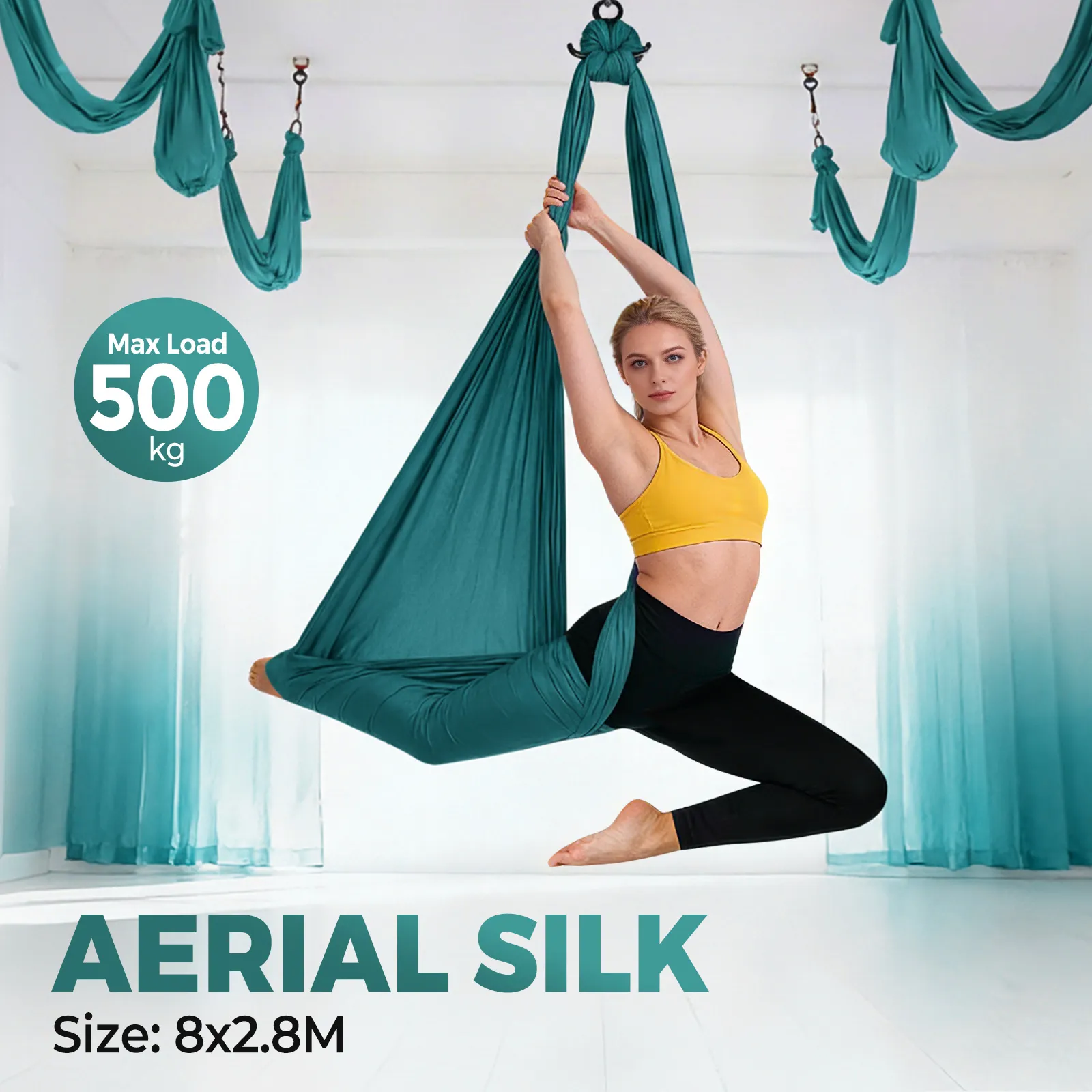 Aerial Silk Yoga Swing