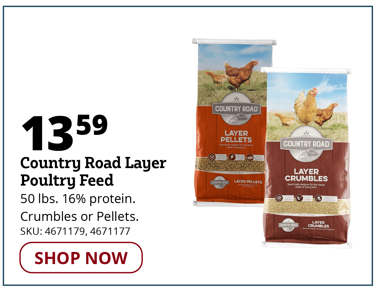 CR Layer Poultry Feed