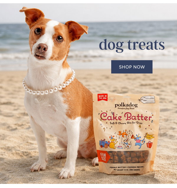 Dog Treats