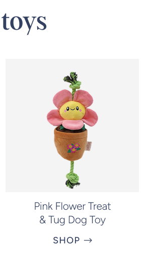 Pink Flower Treat & Tug Dog Toy