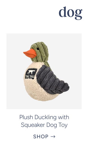 Plush Duckling with Squeaker Dog Toy