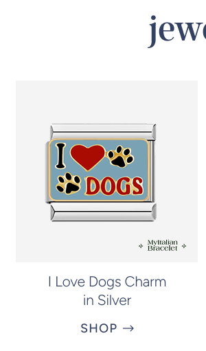 I Love Dogs Charm in Silver