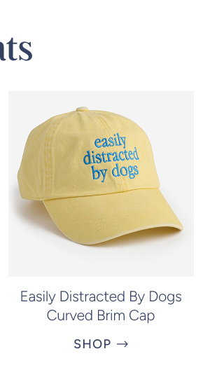 Easily Distracted By Dogs Curved Brim Cap in Butter Yellow