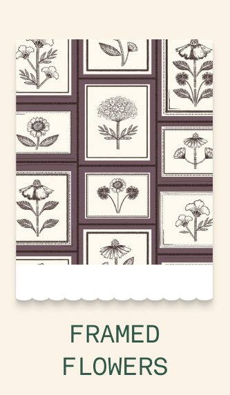 Framed Flowers 