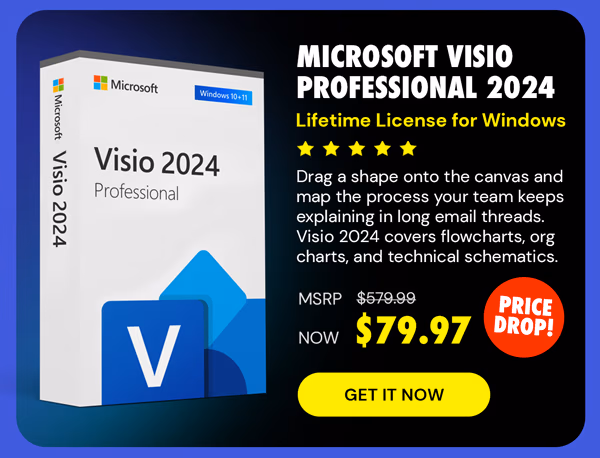 Microsoft Visio Professional 2024: Lifetime License for Windows