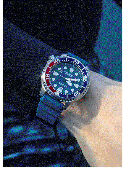 Promaster Dive BN0168-06L