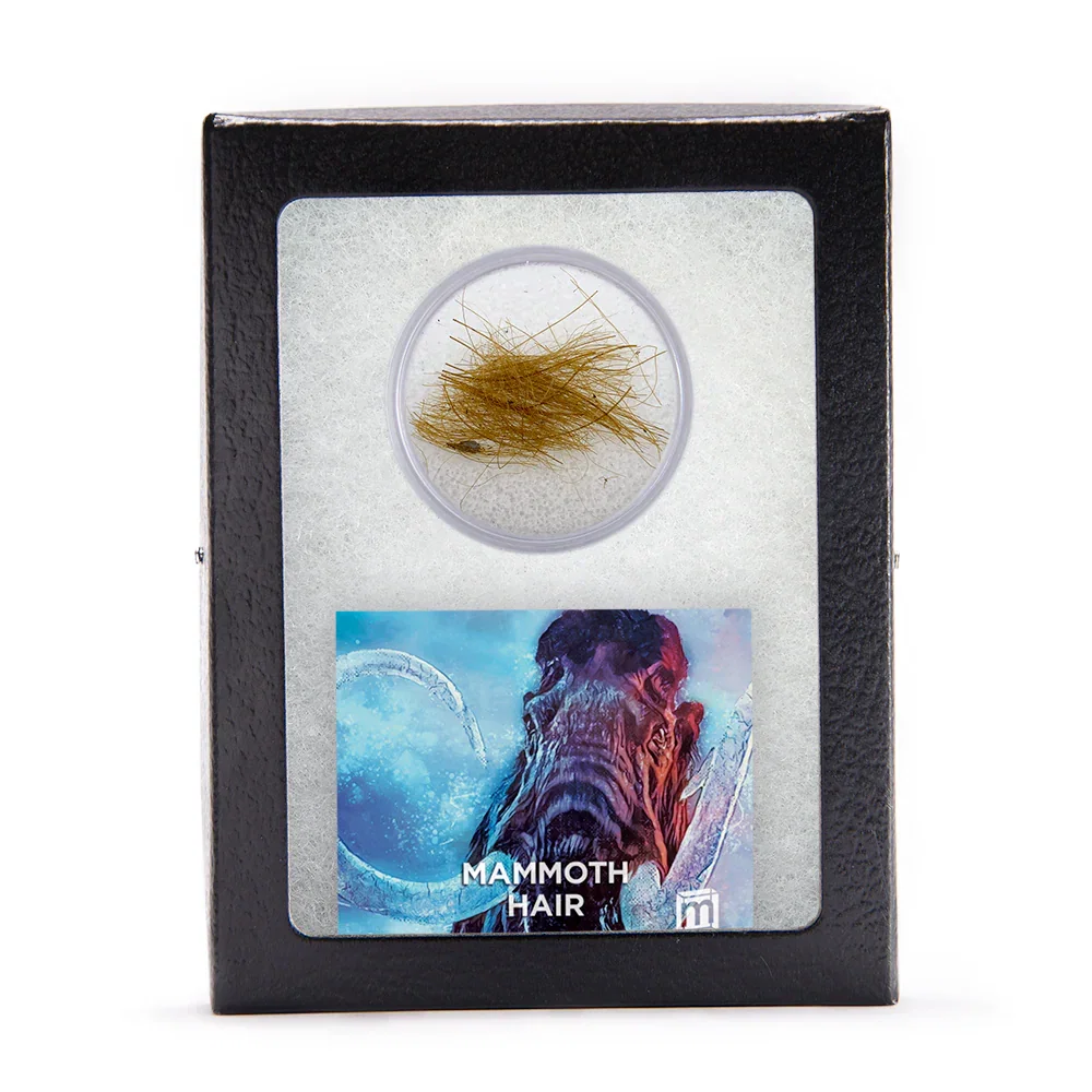 Image of Mammoth Hair