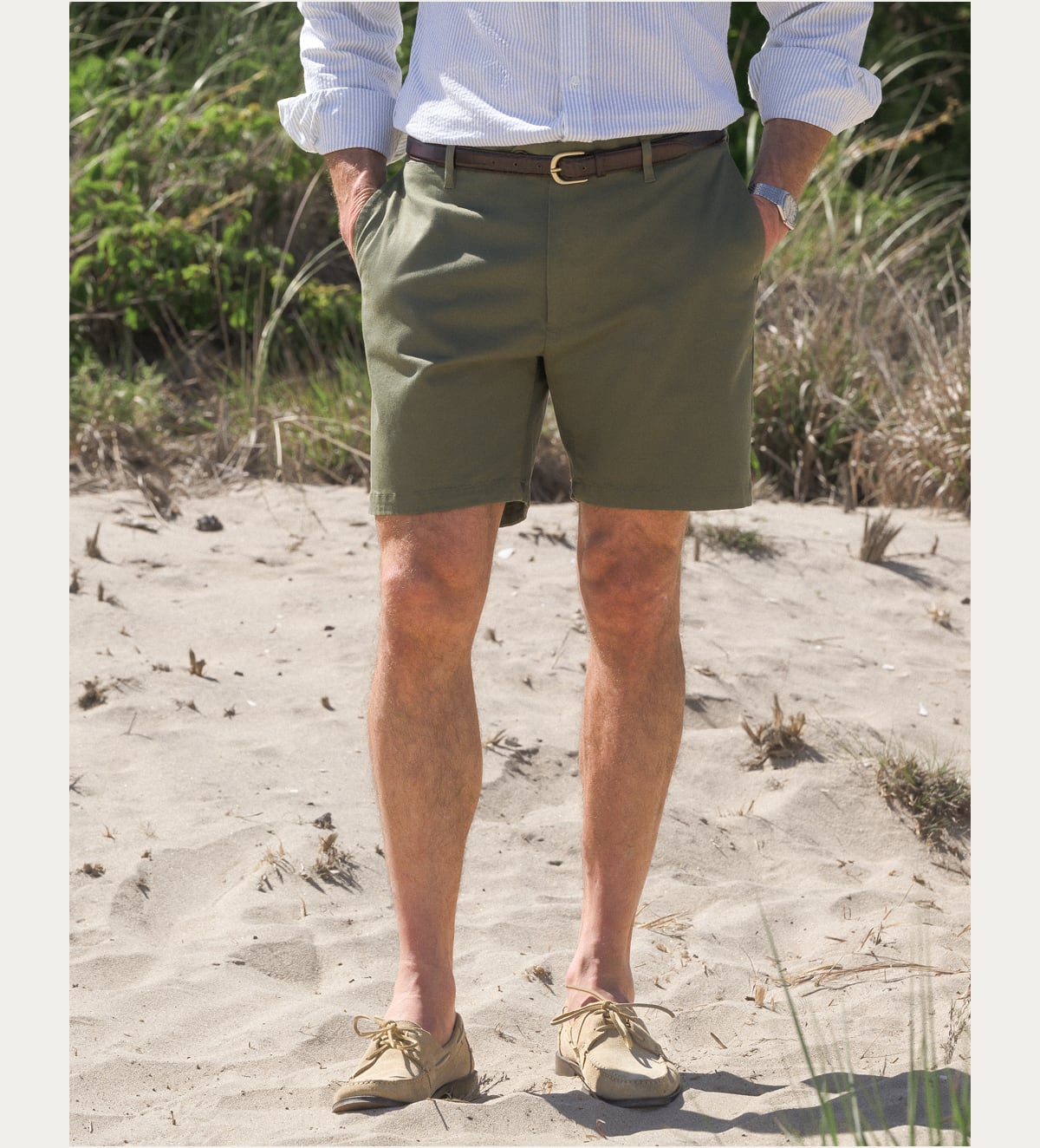 Laurel Cotton Chino