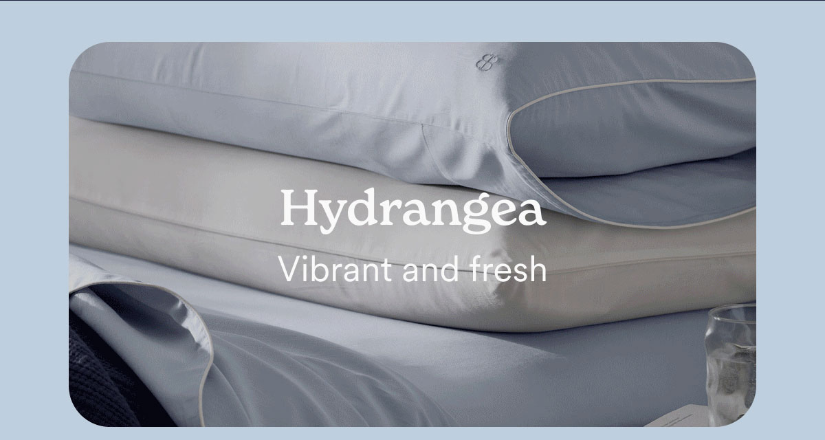 Hydrangea: Vibrant and fresh