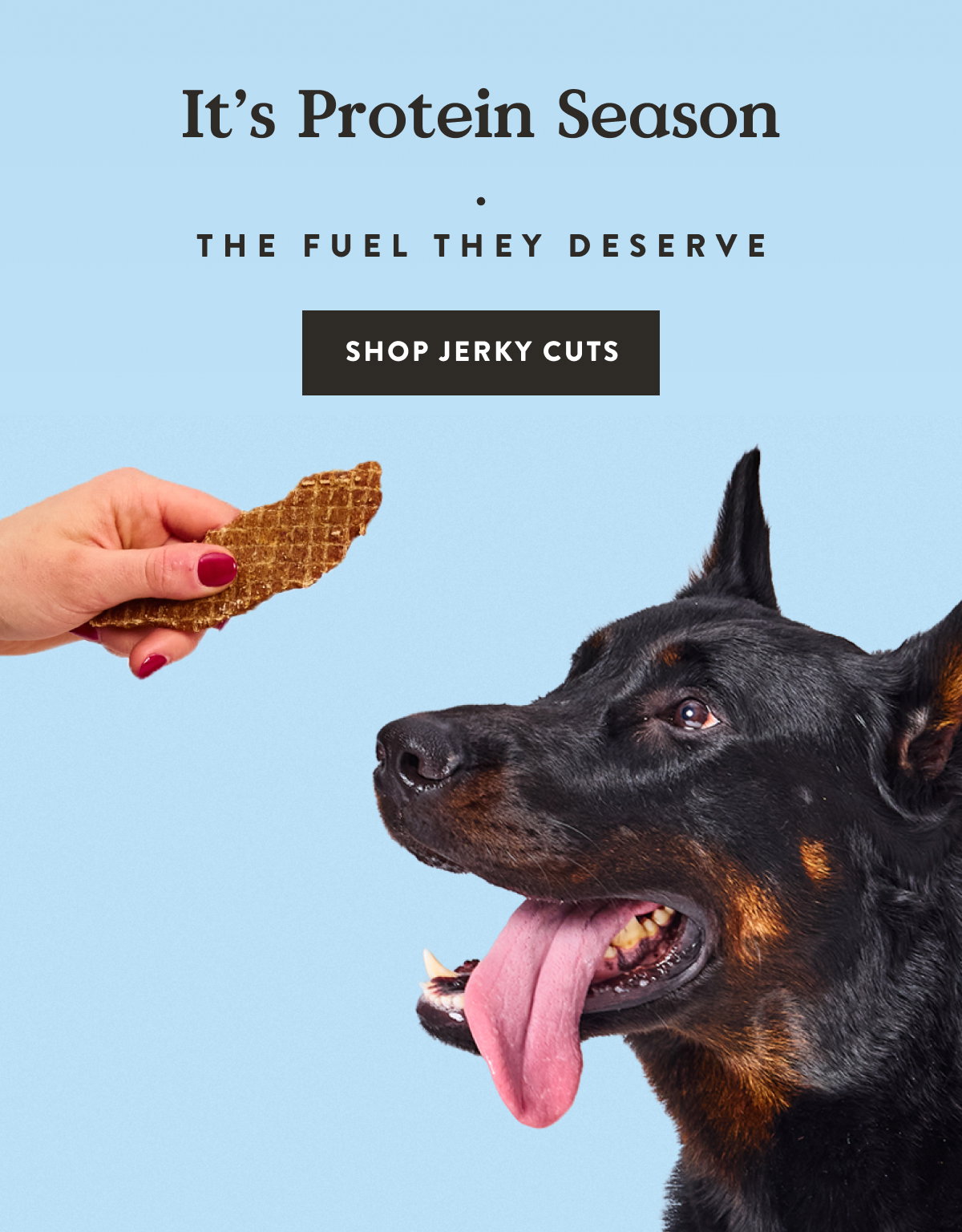 Shop Jerky Cuts