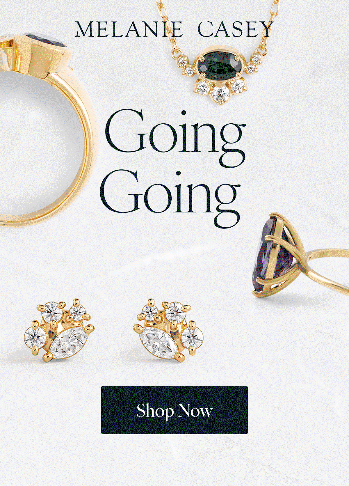 Melanie Casey. Going Going Gone. Shop Now