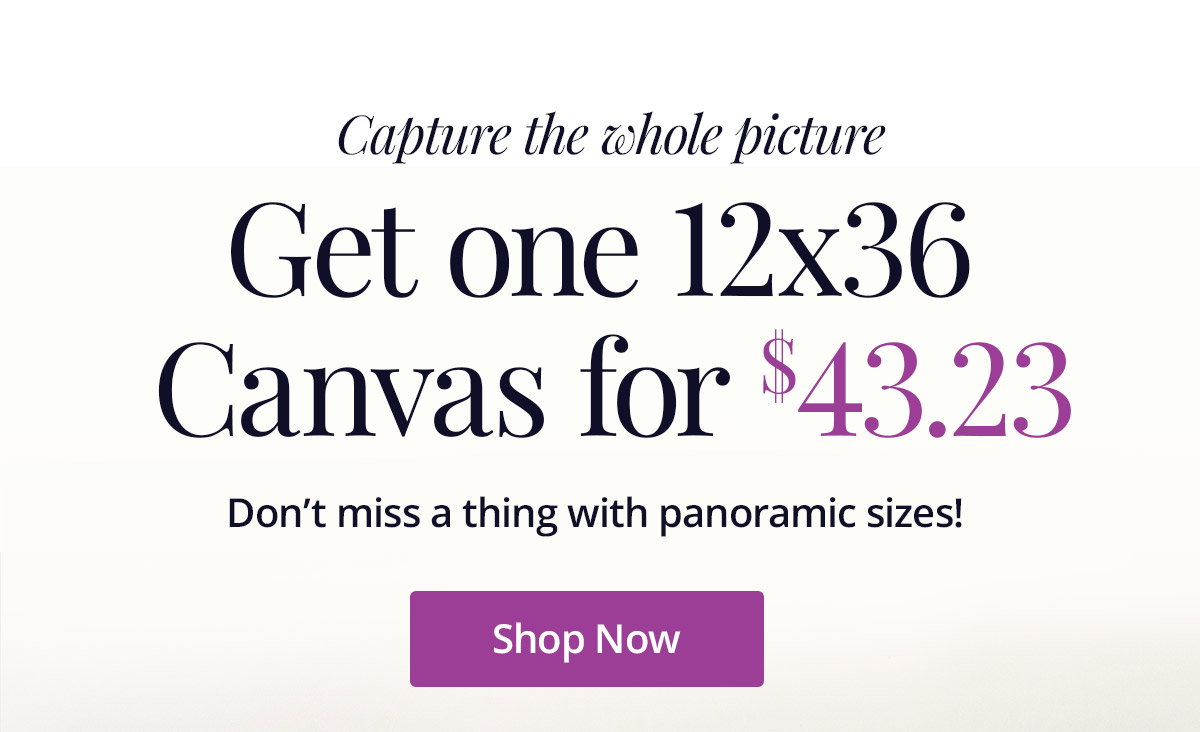 Get one 12x36 canvas for $43.23! Don't miss a thing with panoramic sizes! Shop Now