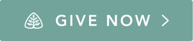 Support the Global Outreach of Ligonier Ministries