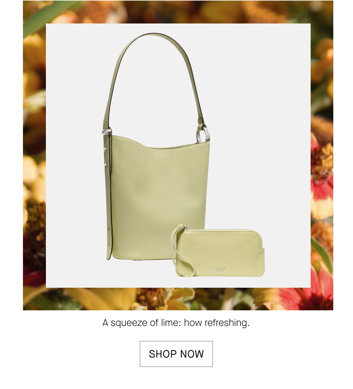 SHOP NOW