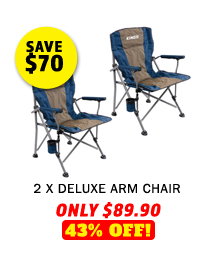2 x Deluxe Arm Chair