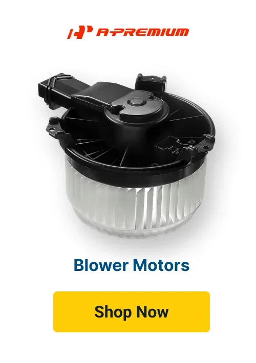Blower Motors