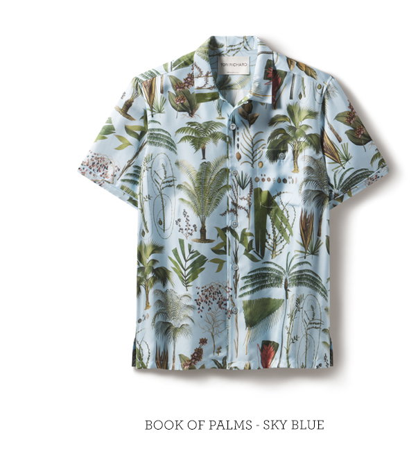 Shop Book Of Palms 