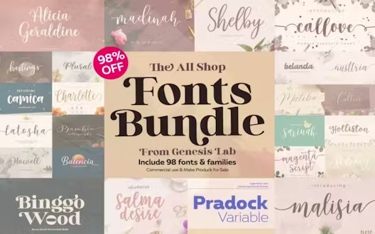 98 Modern Fonts Bundle | Extended License