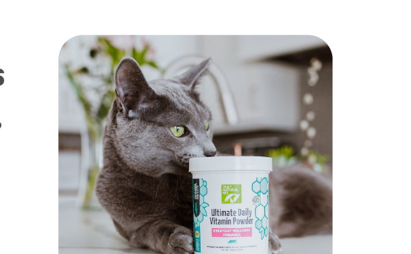 20% OFF Pet Calming & Wellness