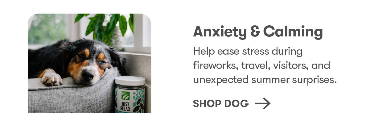 Shop Dog Anxiety & Calming