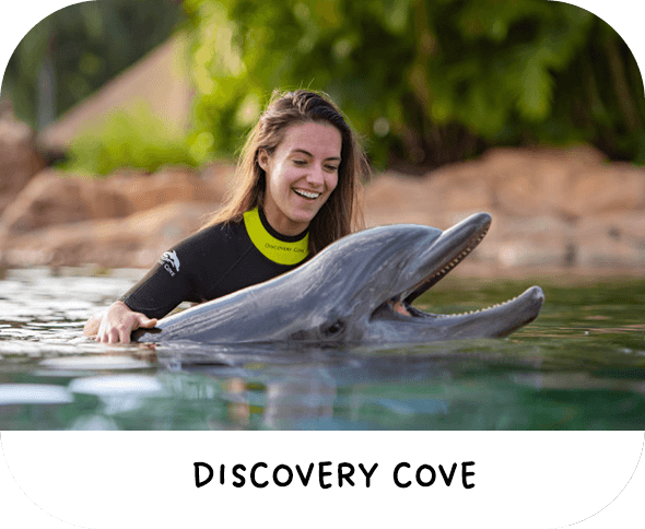 Discovery Cove