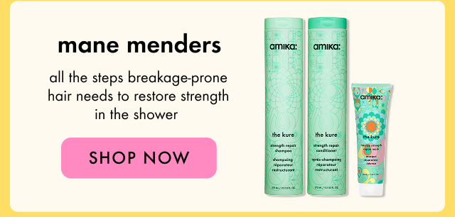 mane menders set