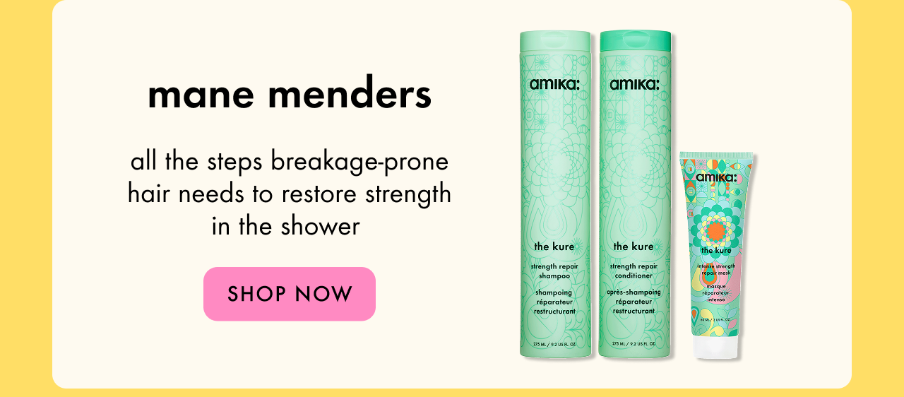 mane menders set