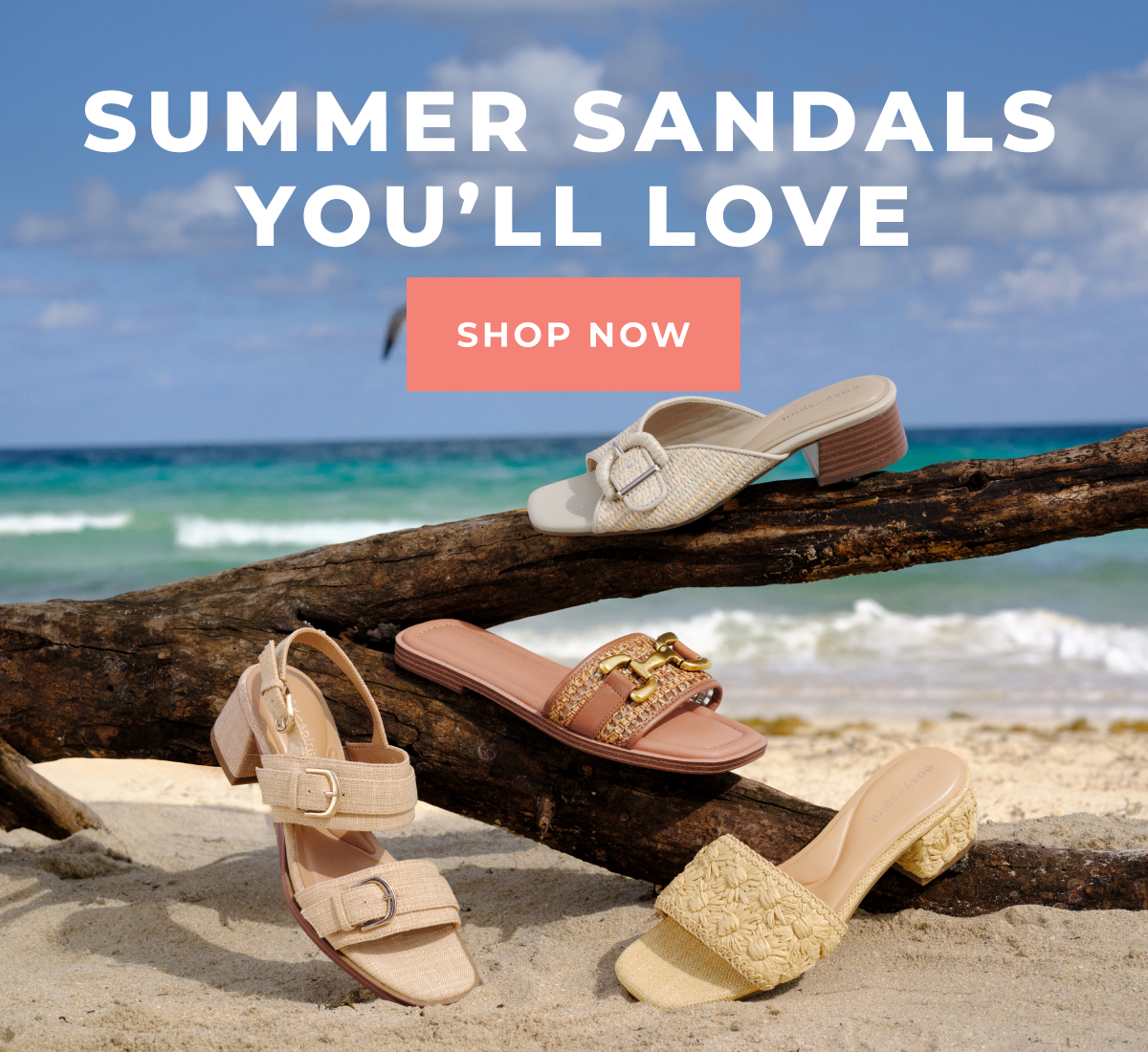 [ Shop Now ]