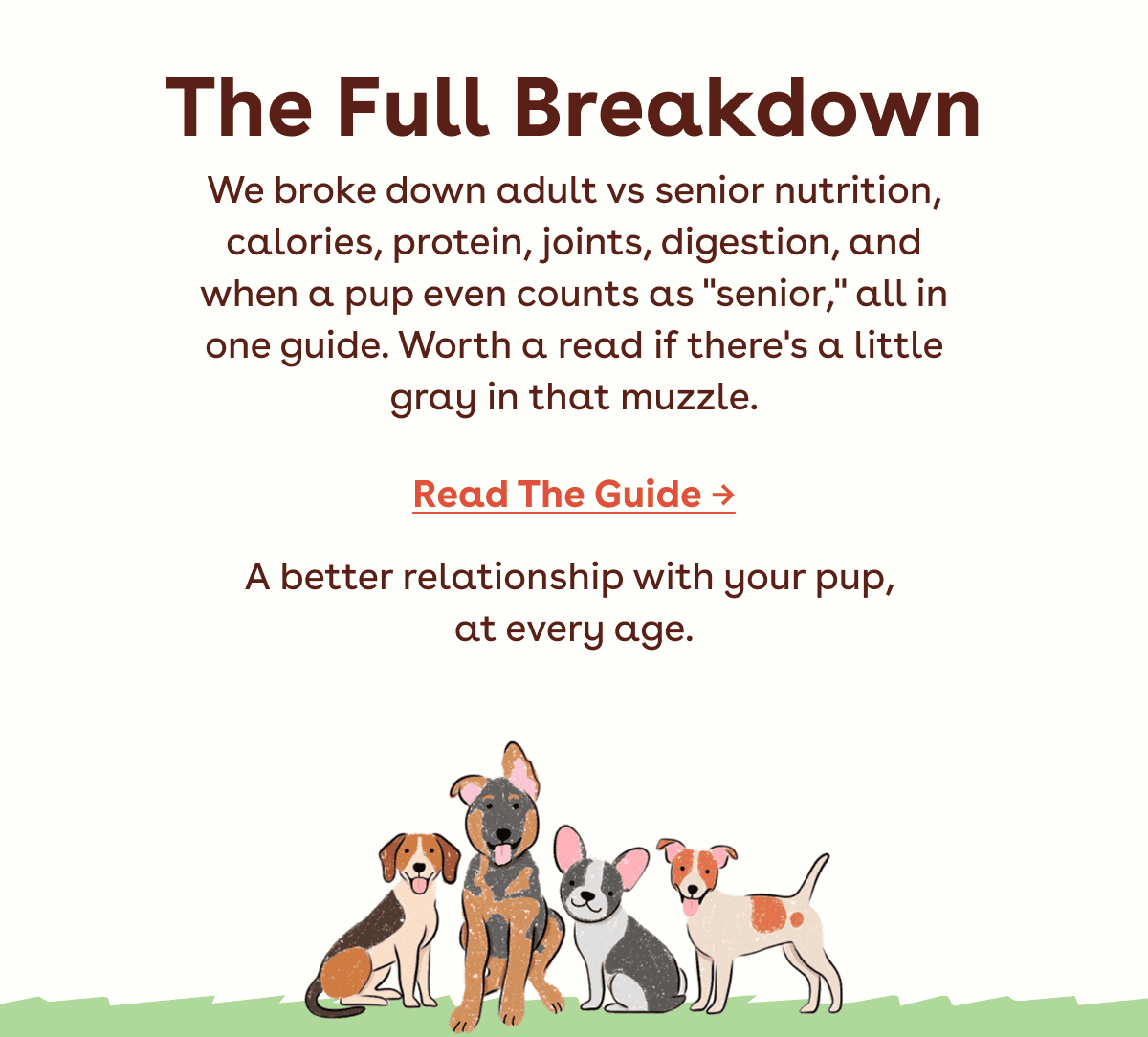 Read the guide 