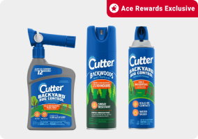 Ace Rewards Exclusive
