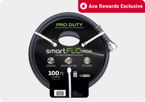 Ace Rewards Exclusive