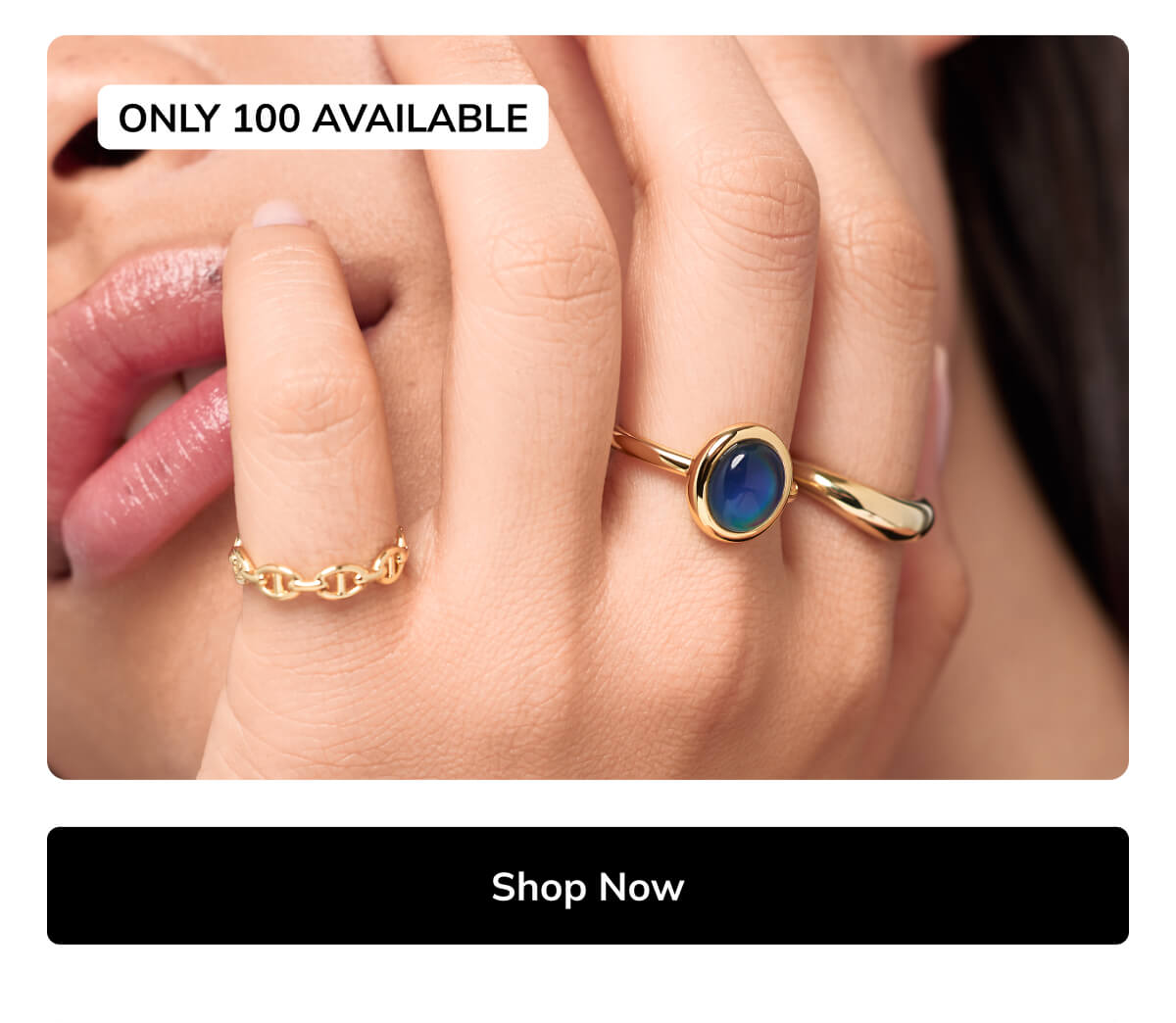 Shop Now Shop Now