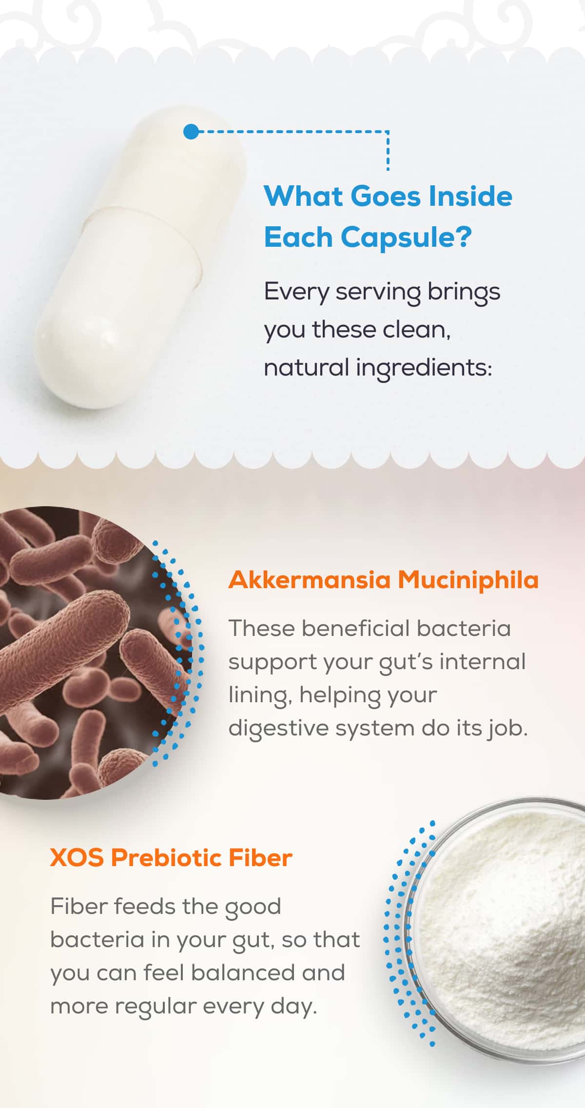 What Goes Inside Each Capsule? Every serving brings you these clean, natural ingredients:   Akkermansia Muciniphila   These beneficial bacteria support your gut’s internal lining, helping your digestive system do its job.   XOS Prebiotic Fiber   Fiber feeds the good bacteria in your gut, so that you can feel balanced and more regular every day.