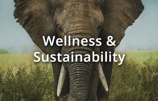 Wellness & Sustainability