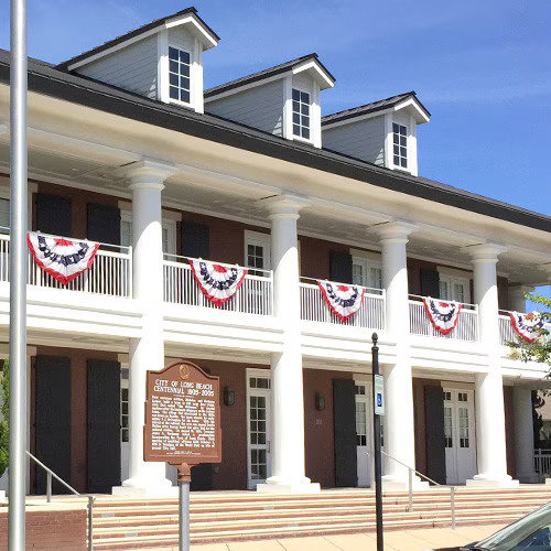 Patriotic Bunting Flags (18” x 3′)