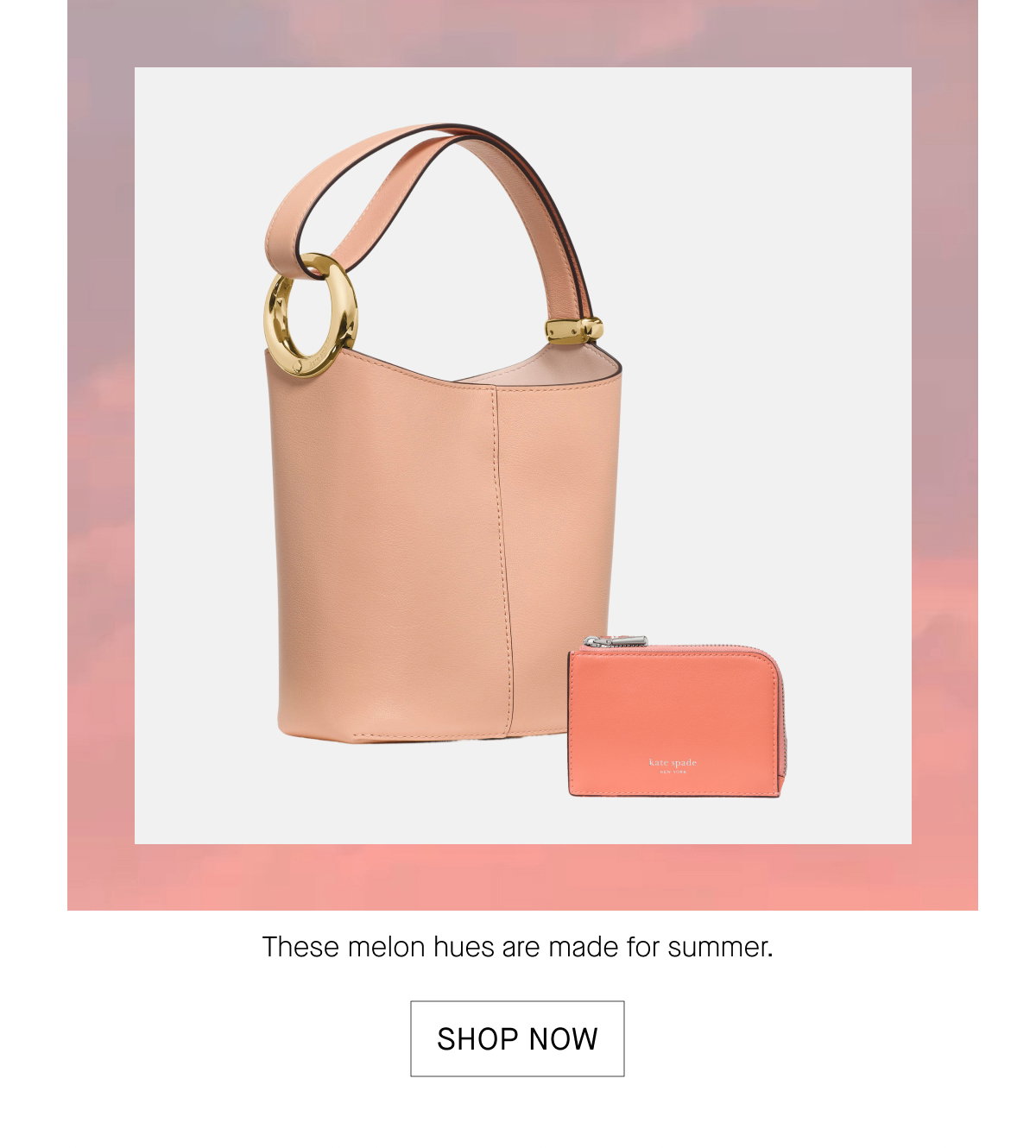 SHOP NOW