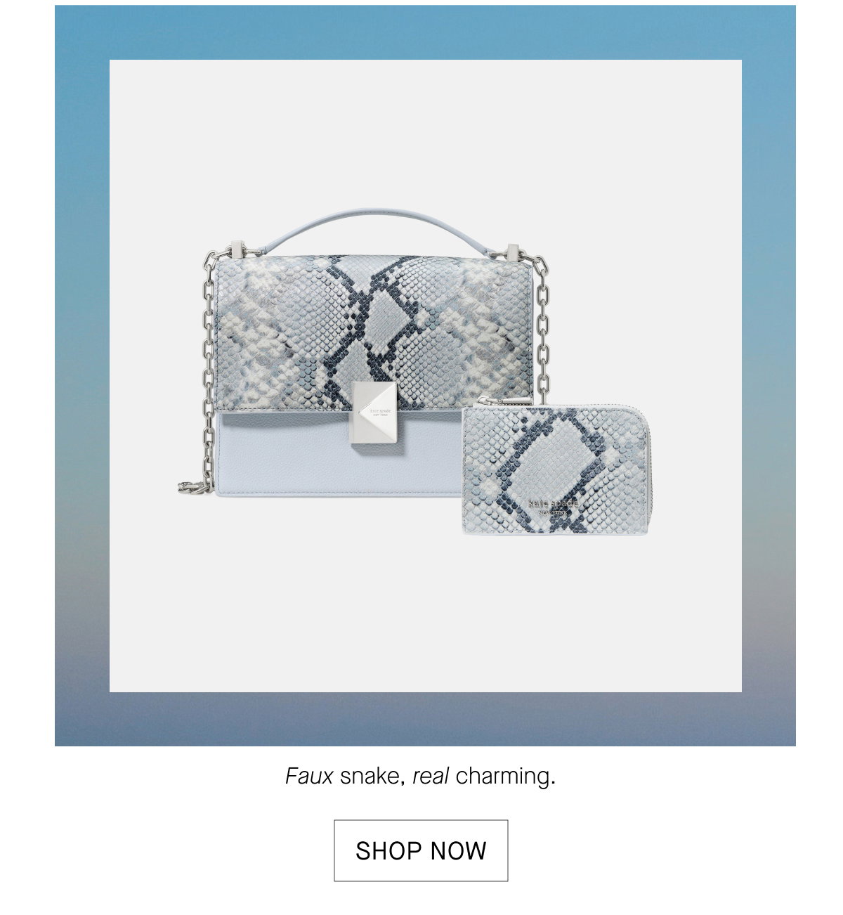SHOP NOW