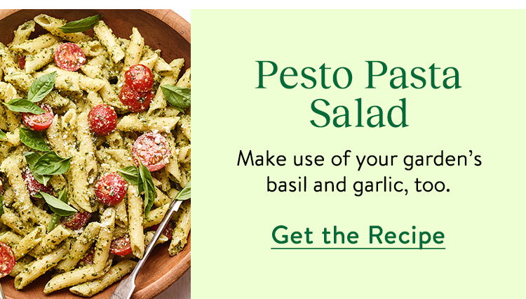 Pesto Pasta Salad