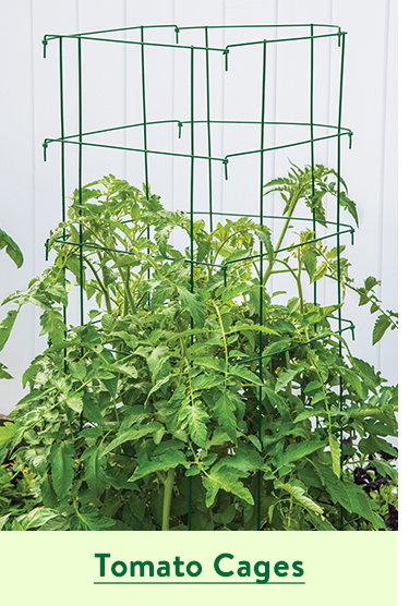 Tomato Cages