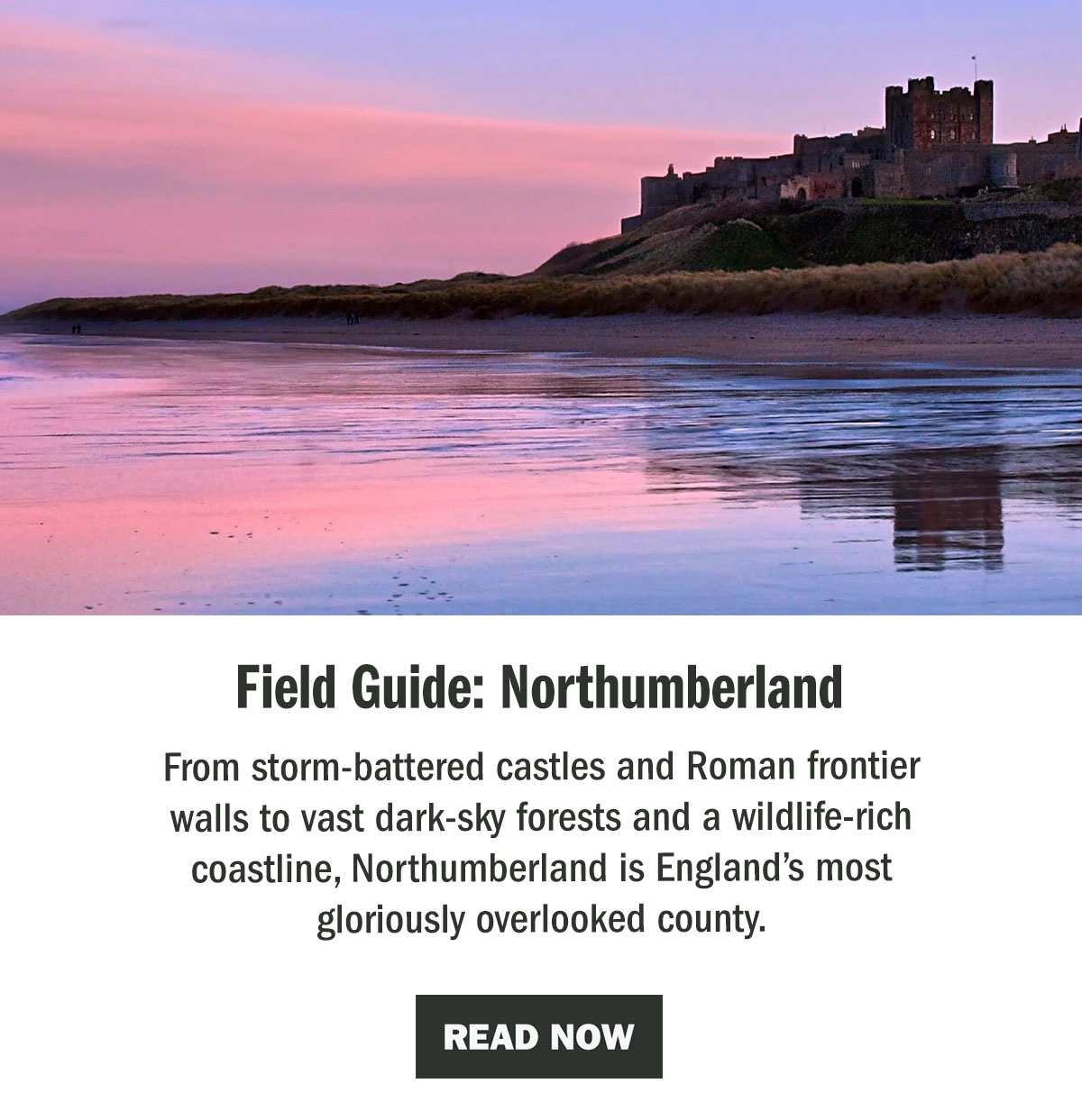 Field Guide: Northumberland | The WildBounds Journal