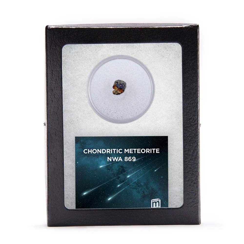 Image of Chondrite NWA 869