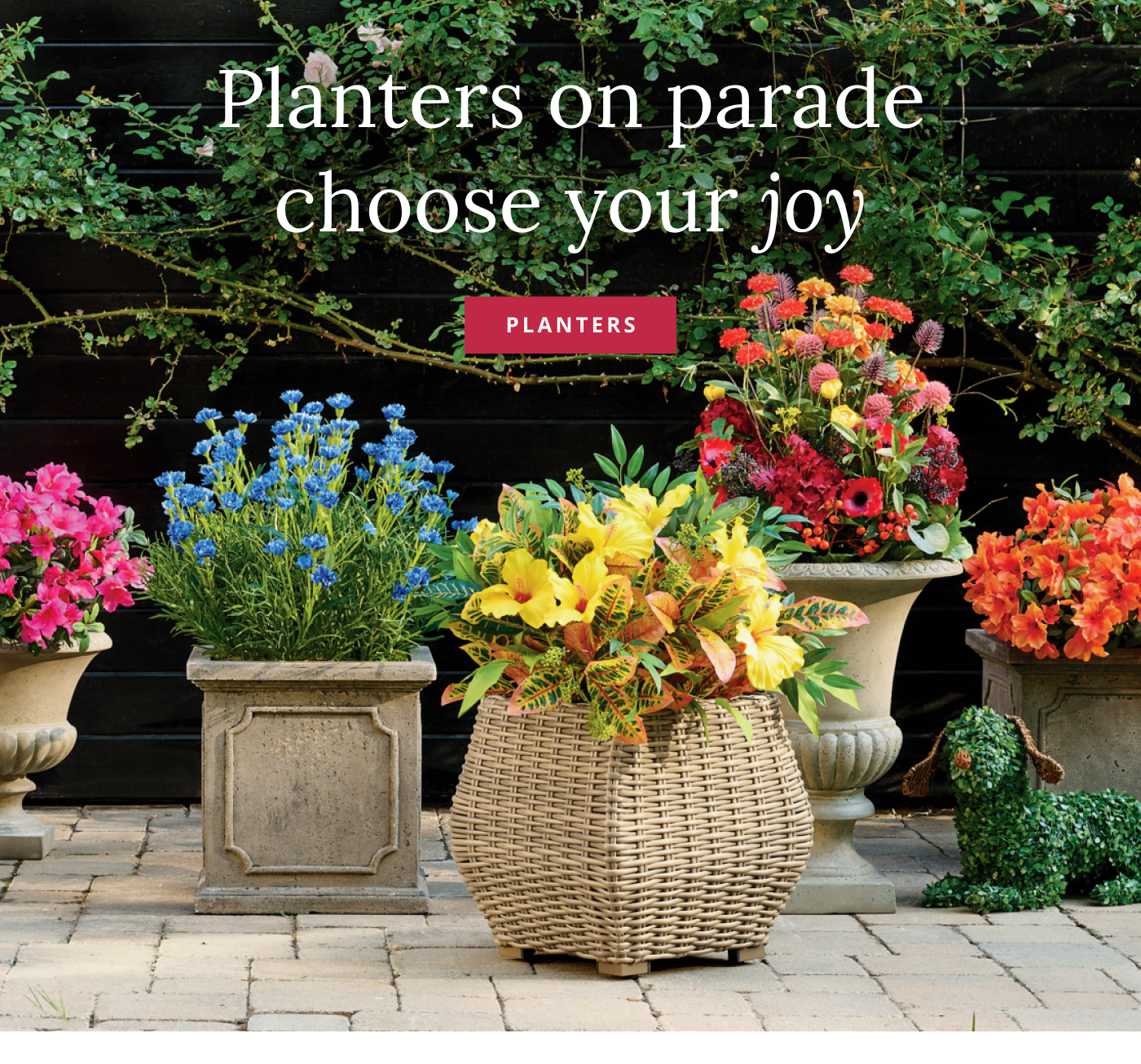 Shop Planters