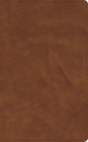 CSB Single-Column Wide-Margin Bible, Tan Calfskin