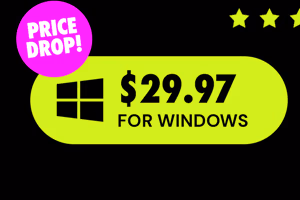 Microsoft Office Professional 2021 for Windows: Lifetime License