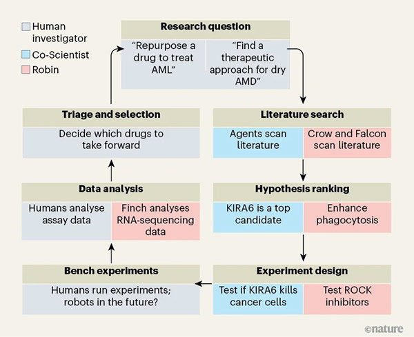 A flow chart shows how the systems — ‘Co-Scientist’ and ‘Robin’ — fit into the laboratory discovery cycle. 