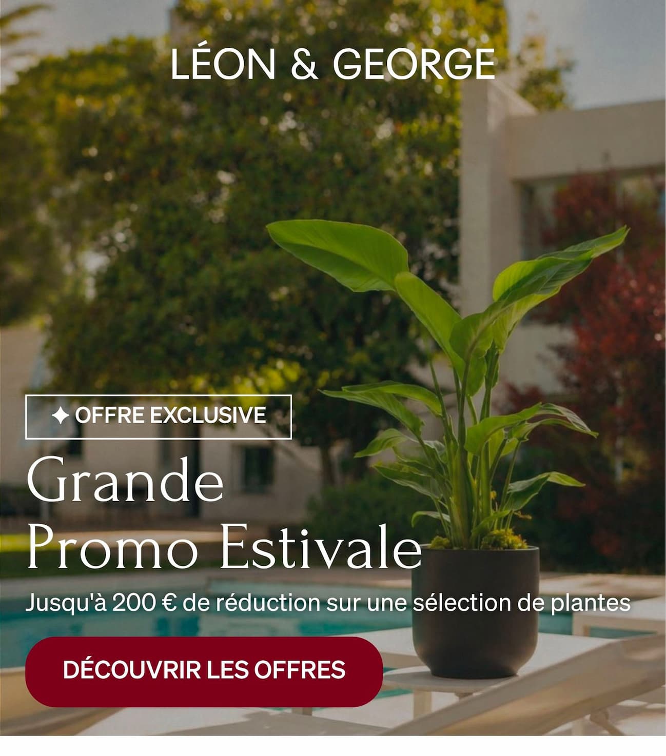 promo estivale