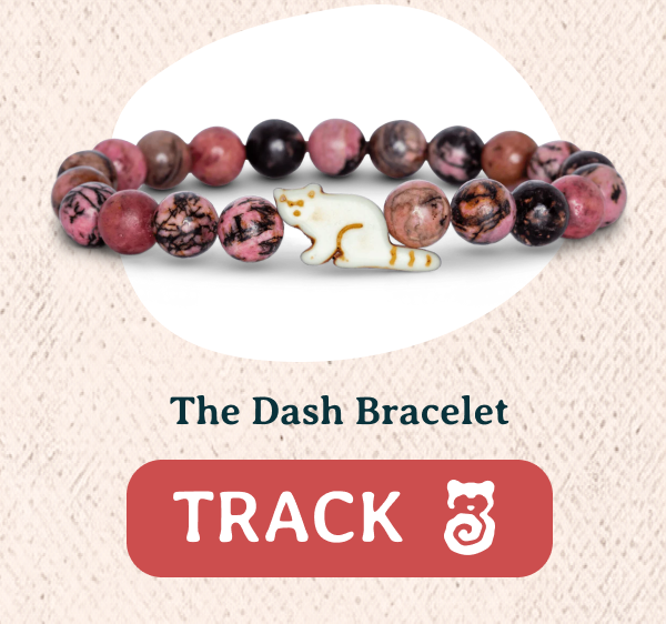 Track an animal in the wild with a Fahlo animal tracking bracelet! Real red pandas are waiting to be tracked!