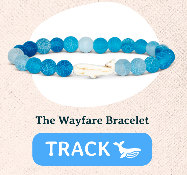 Track an animal in the wild with a Fahlo animal tracking bracelet! Real whales are waiting to be tracked!