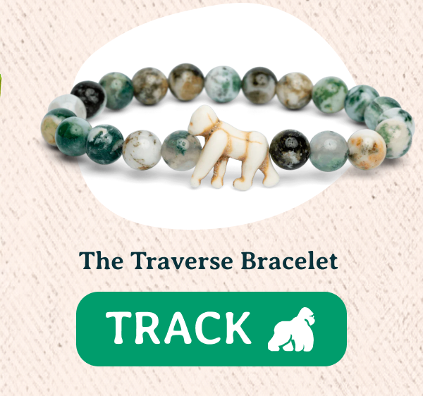 Track an animal in the wild with a Fahlo animal tracking bracelet! Real gorillas are waiting to be tracked!