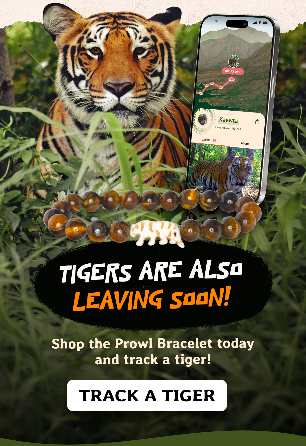 Tigers are also leaving soon, so shop the Prowl Bracelet today and track a tiger before your window closes. Every purchase supports nonprofit wildlife conservation partners working to protect these animals in the wild. Shop The Prowl Bracelet!